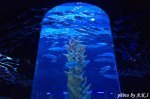 ジャカルタ新名所2017